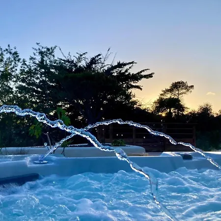 Avec Niche Dans La Foret A Deux Pas Des Plages