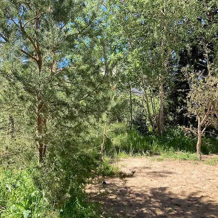 Avec Niche Dans La Foret A Deux Pas Des Plages Holiday home Saint-Jean-de-Monts