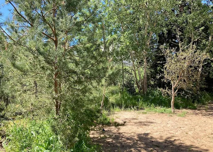 Avec Niché Dans La Forêt à Deux Pas Des Plages Сasa de vacaciones Saint-Jean-de-Monts